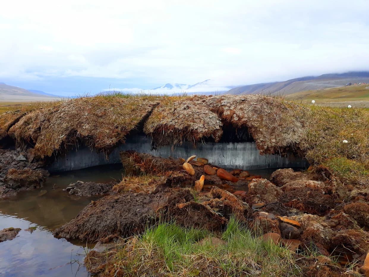 Hidden ‘Deep Carbon’ In Permafrost Could Be Released By 2100 — Warming Risk Underestimated