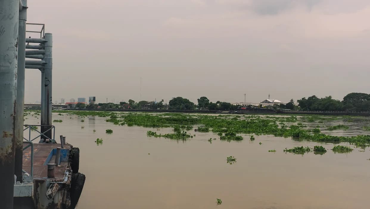 Over 600 Thais March 42 Miles Demanding Action After Toxic Metals Found in Rivers