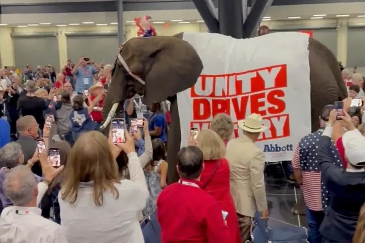 Live Elephant Paraded Through Texas GOP Convention Goes Viral — Simpsons Comparisons and Animal Welfare Concerns Follow