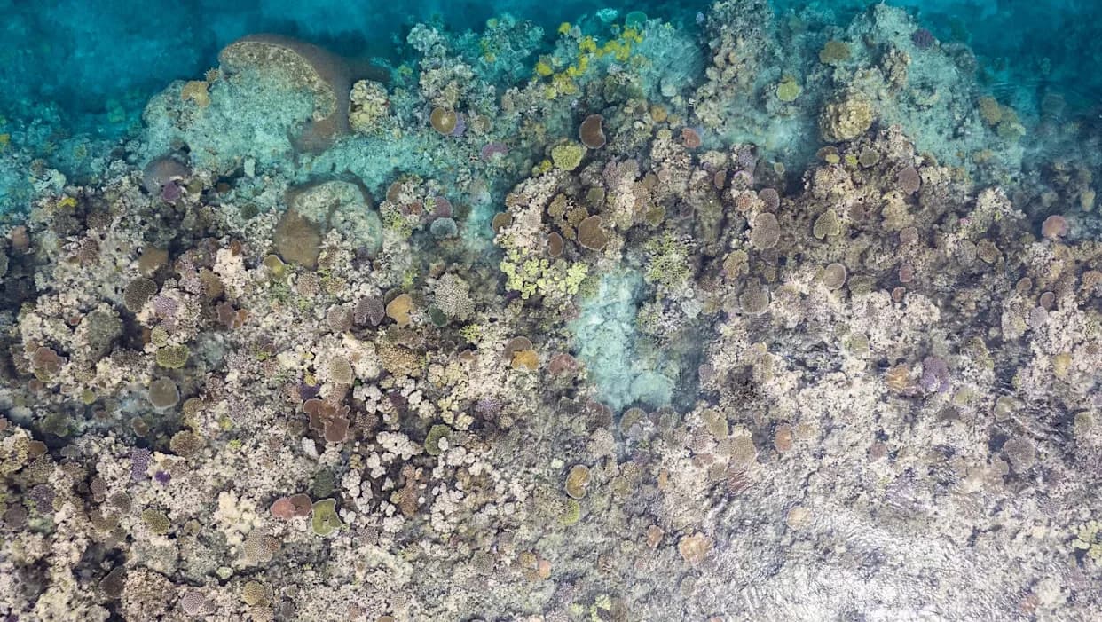 UN Warns of a 'Deepening' Ocean Crisis — Warming, Overfishing and Pollution Threaten Food Security