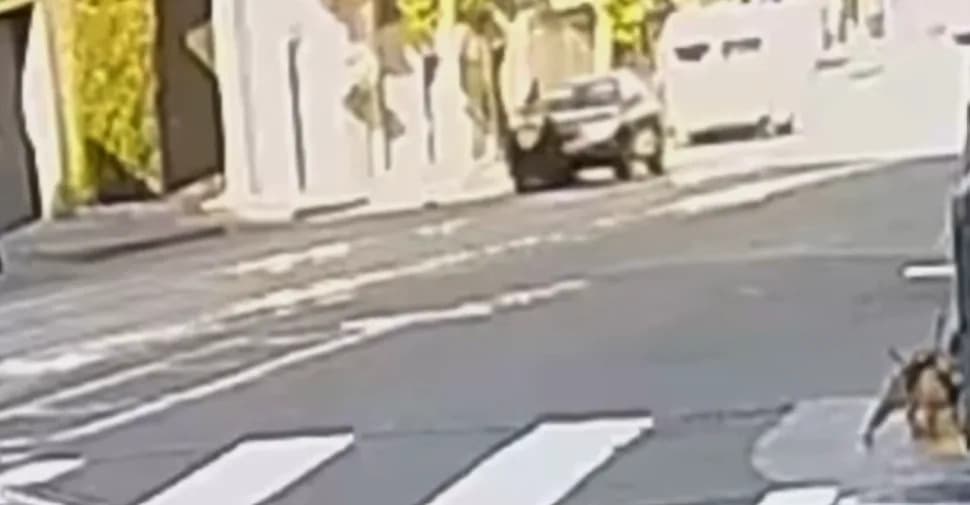 San Francisco Shoplifting Chase Turns Deadly After Lexus Strikes Suspect and Two Officers
