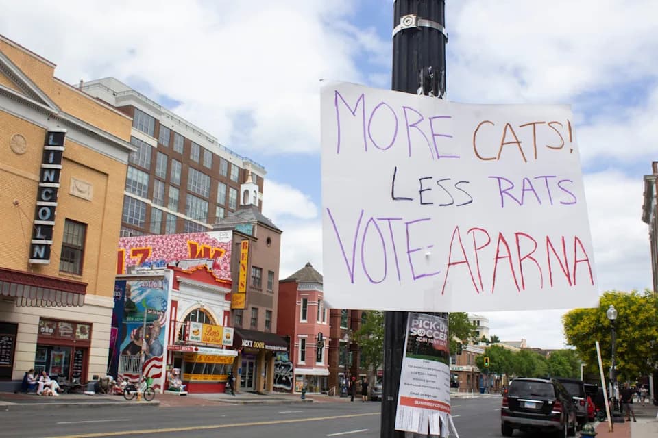 DC Primary Day: Open Mayoral and Congressional Races, First Ranked-Choice Vote and Federal Tensions
