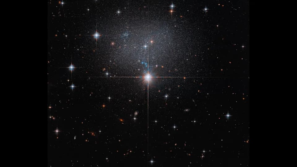 Hubble Reveals Starry Swarm in Faint Dwarf Galaxy ESO 490-017 — Space Photo of the Day