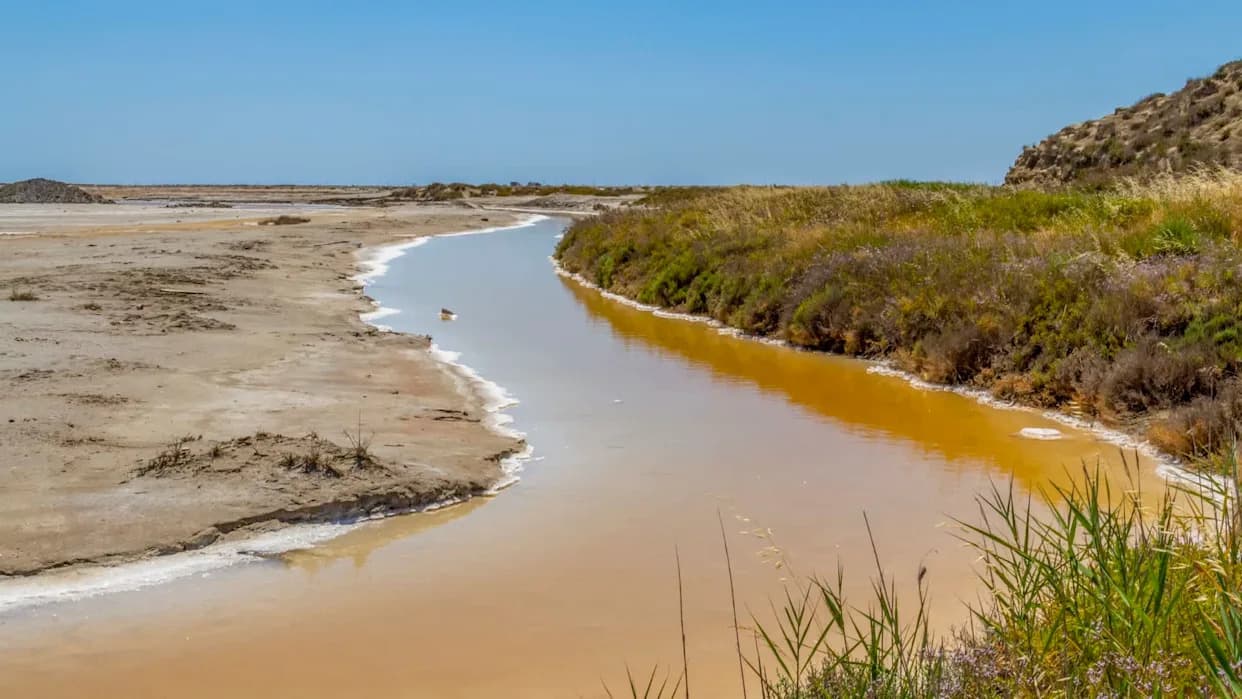 Warming Streams Release Far More Methane As Microbial 'Filter' Fails To Keep Up