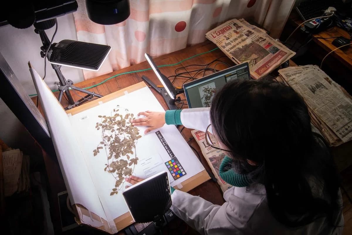 Digitized Specimens and A.I. Are Transforming Plant Conservation