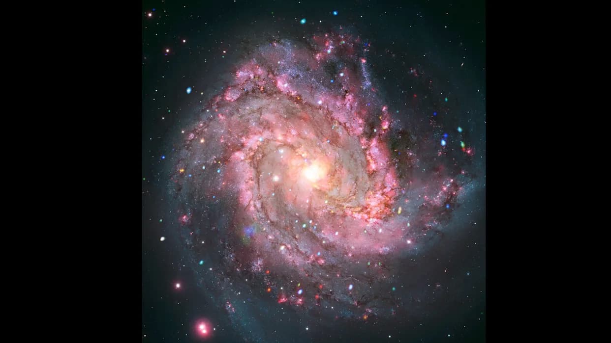 Fireworks in a Nearby Galaxy: Unexpected X‑Ray Flares From Supernova Remnants in M83