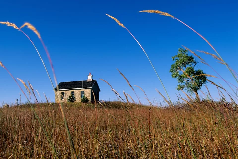 America Has Lost Half Its Grasslands — Protecting Remaining Prairies Is Urgent