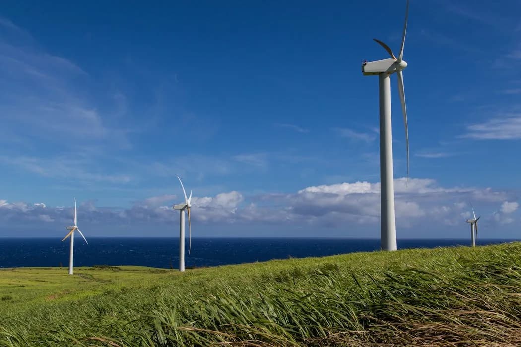 States Are Rolling Back Climate Laws — Four Practical Steps To Keep The Energy Transition On Track