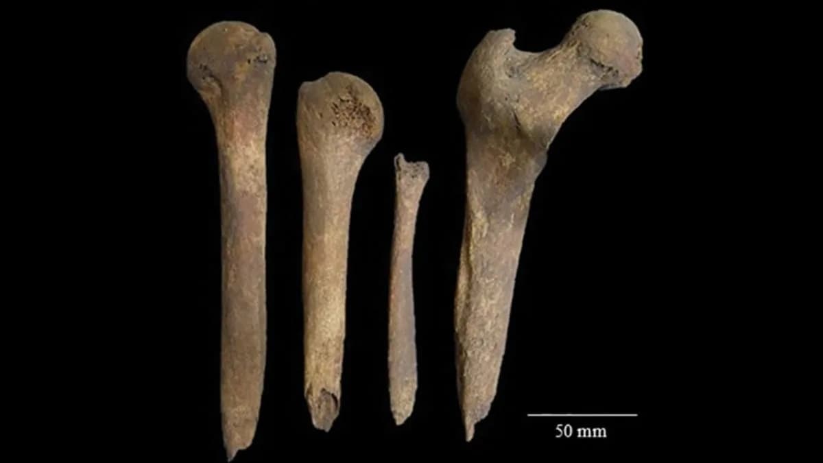 2,000-Year-Old Woman’s Bones Were Whittled Into Tools and Reburied, Study Finds