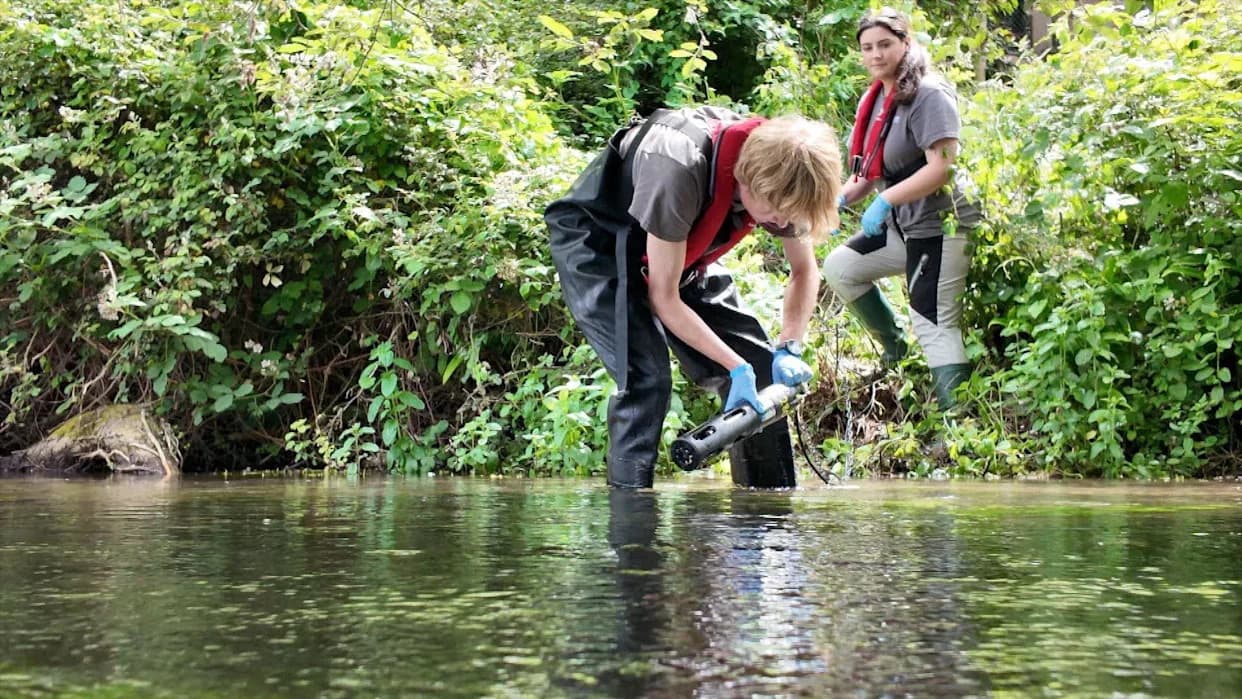 First‑of‑its‑Kind Real‑Time Sensor Network Launched To Protect River Test Chalk Stream