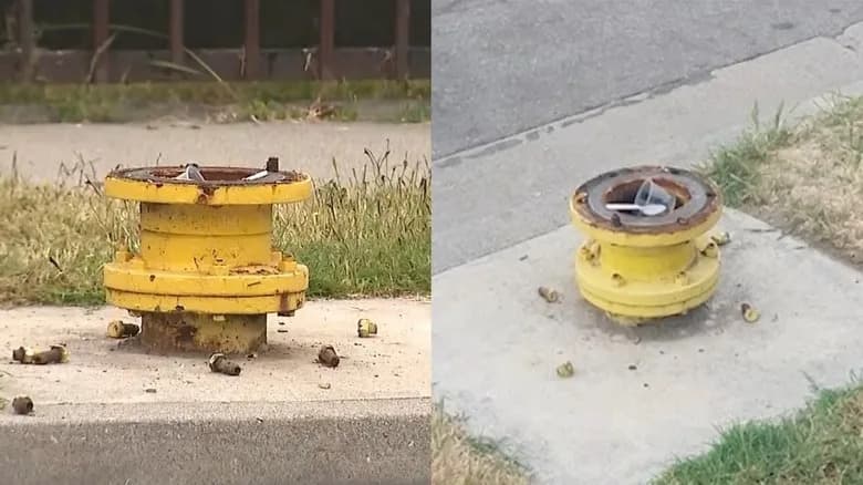 Why Are 300+ Fire Hydrants Disappearing in L.A.? Officials Suspect Stolen Brass