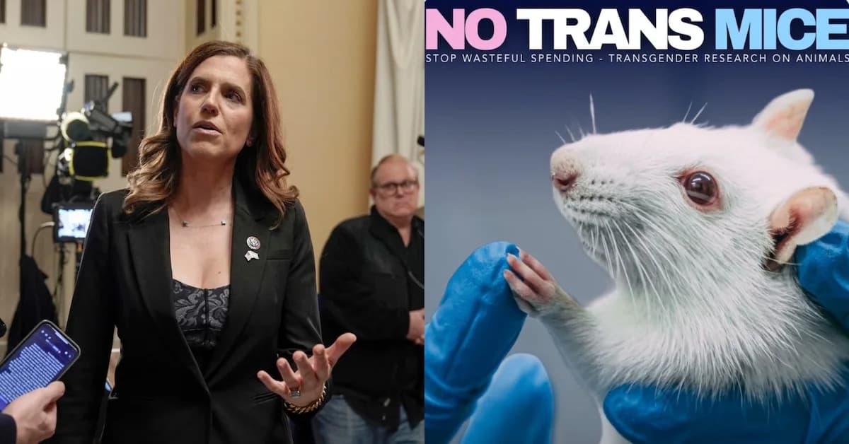 Nancy Mace Mocked and Fact-Checked After Claim About Taxpayer-Funded 'Trans Mice'