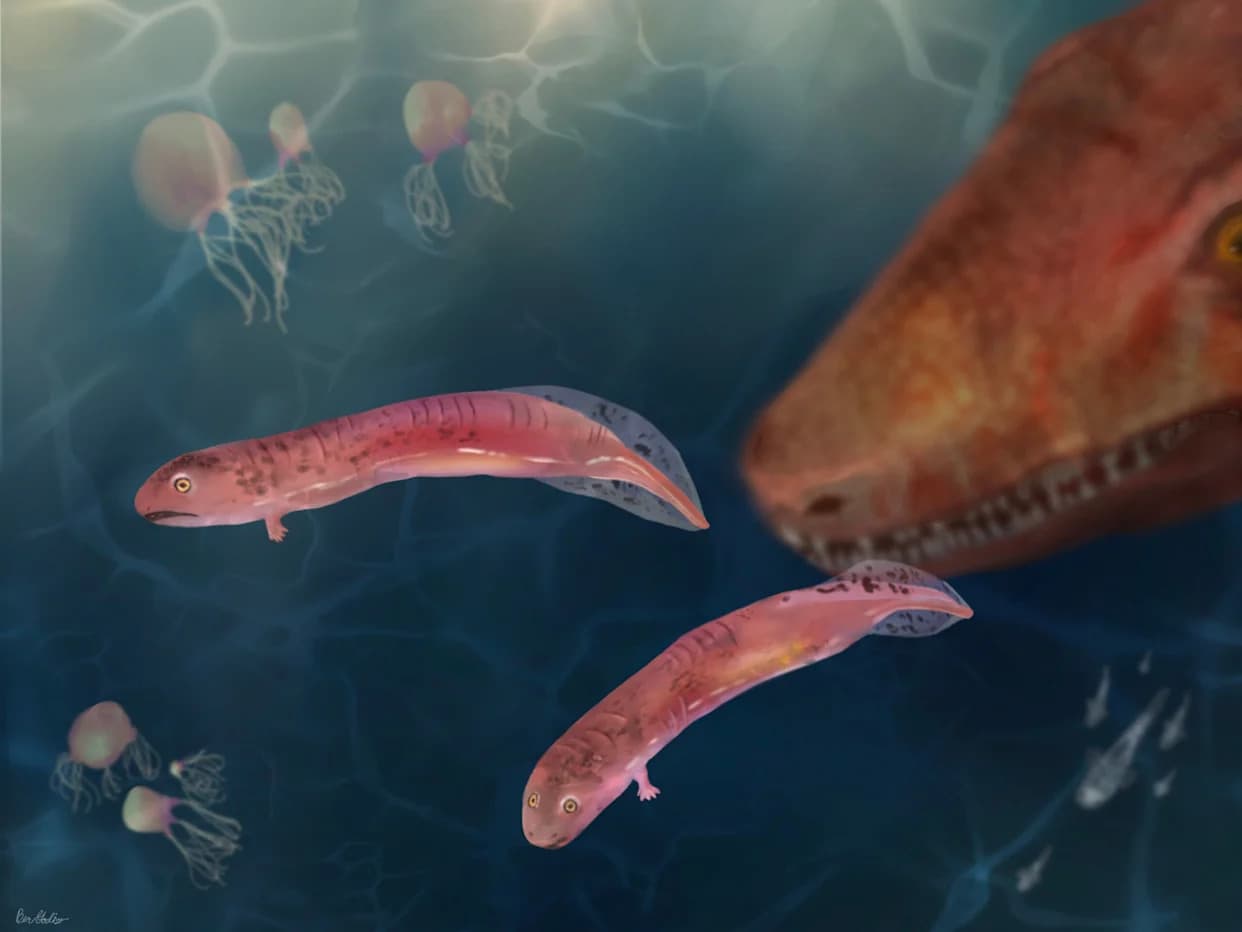 Baby 'Crocodile-Like' Fossils Rewrite How Early Vertebrates Moved Onto Land