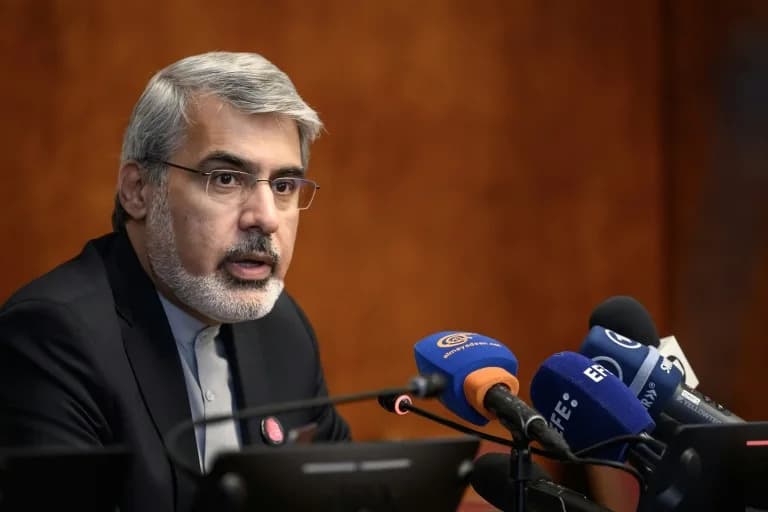 Iran Says It Alone Will Decide How To Use $12B In Unfrozen Assets, Ambassador Insists