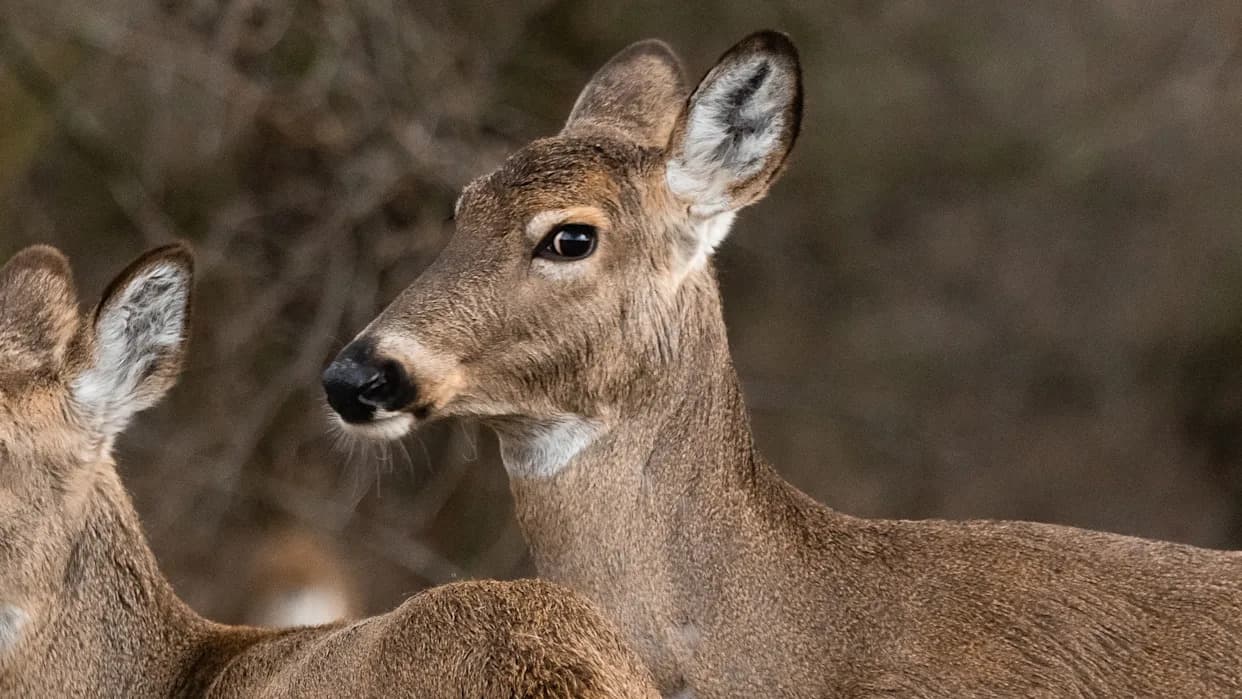 Hack May Have Exposed Data of More Than 3 Million Texas Hunting and Fishing License Holders