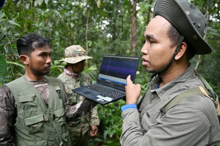 Hidden Cameras, Microphones and AI Reveal Rare Wildlife in Cambodia’s Cardamom Mountains