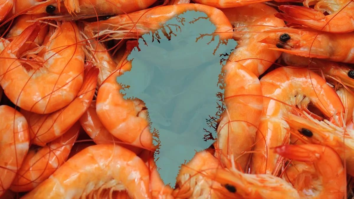 Fact Check: Did a Trump Appointee Say Greenland Could Restore “All-You-Can-Eat” Shrimp at Red Lobster?