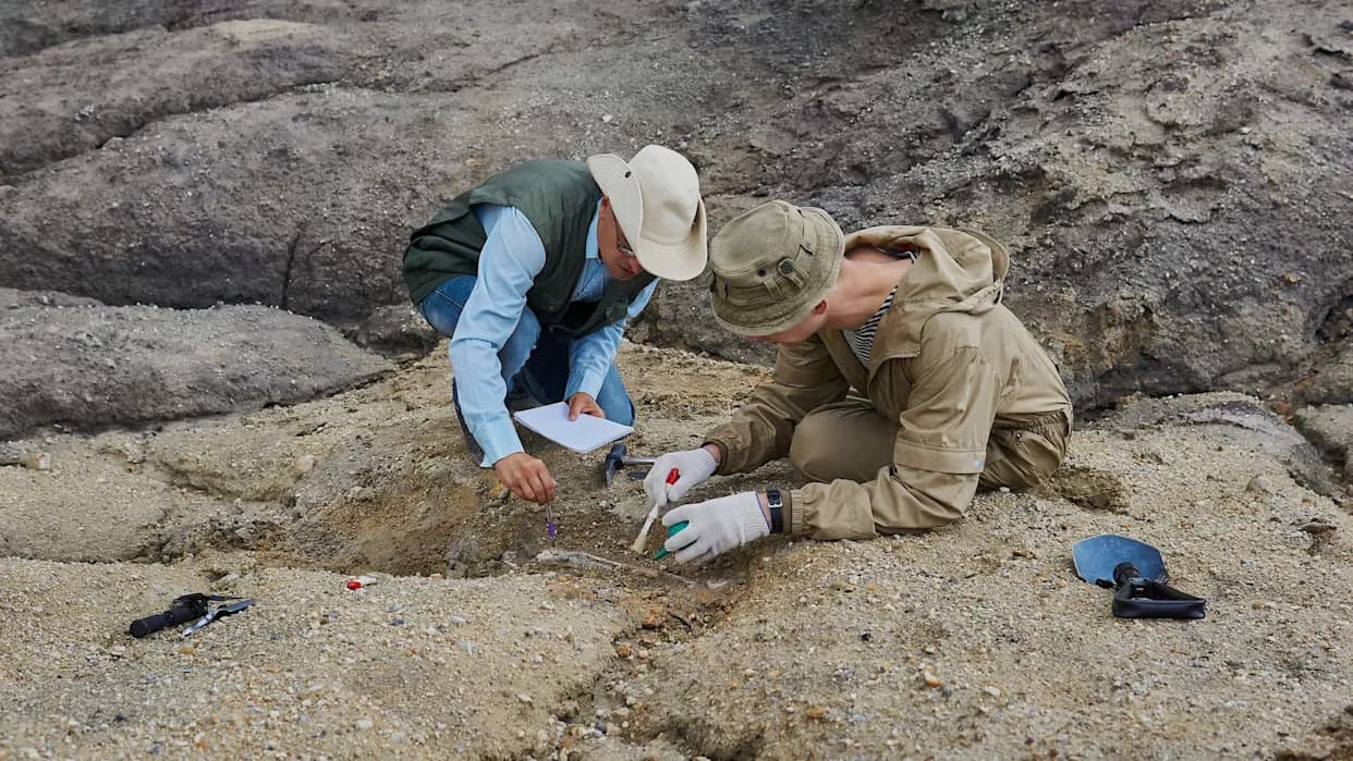 Ancient Hatchlings Suggest Early Land Vertebrates Skipped Frog‑Like Metamorphosis