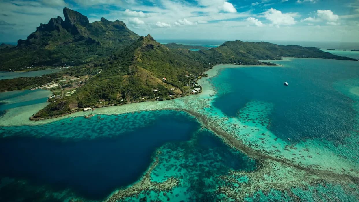 French Polynesia Protects 30% Of Its Seas — A Major Win For Sharks, Turtles And Coastal Communities