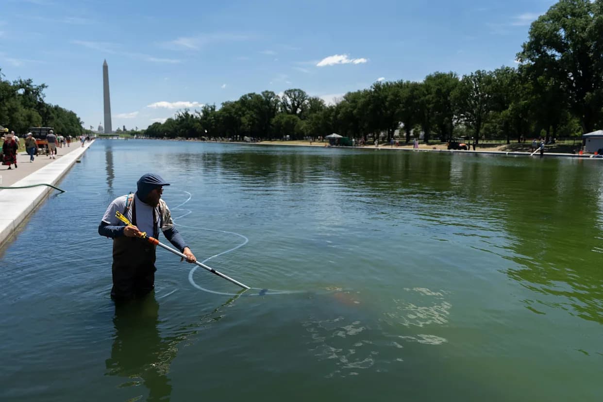 Skip the Chemicals: How Nature Can Clear Algae From the Lincoln Memorial Reflecting Pool and Community Ponds