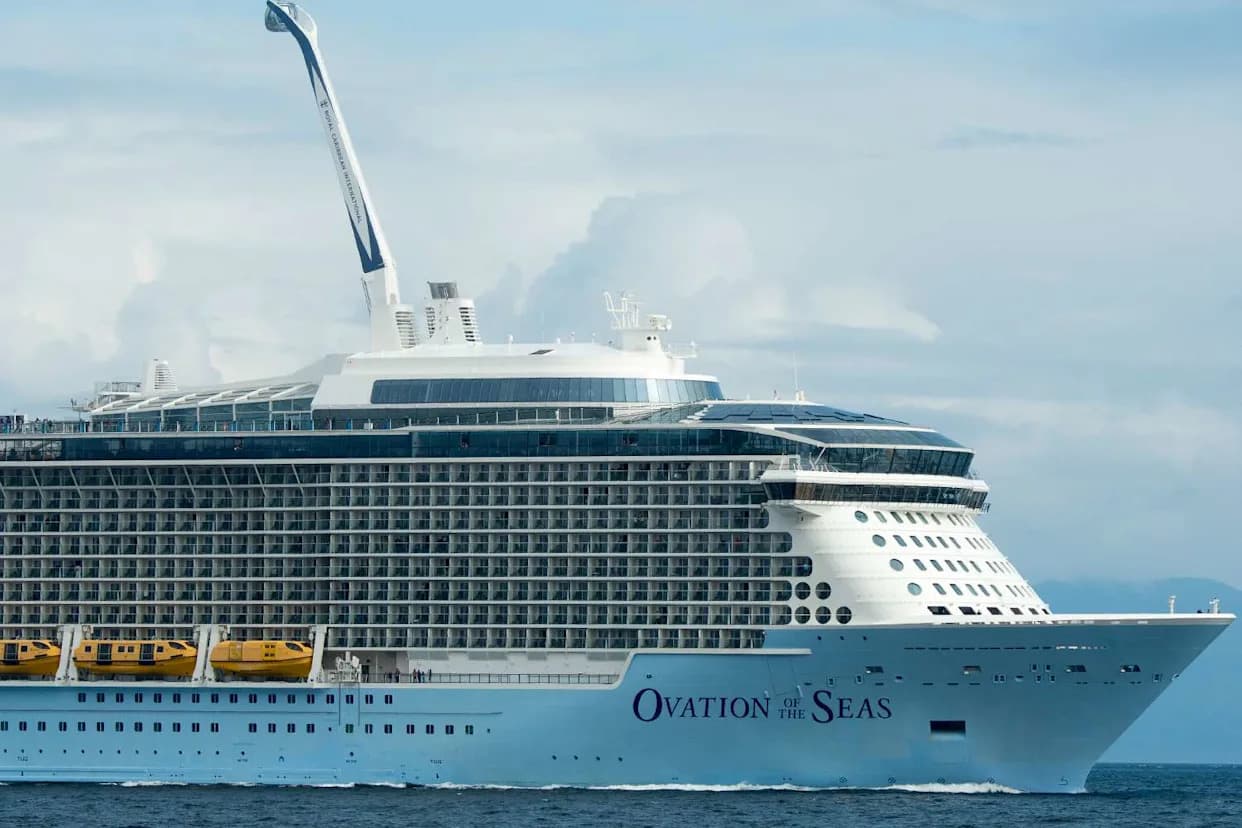 Conservationists Demand Slower Ship Speeds After Pregnant Fin Whale Found Dead On Cruise Ship Bow
