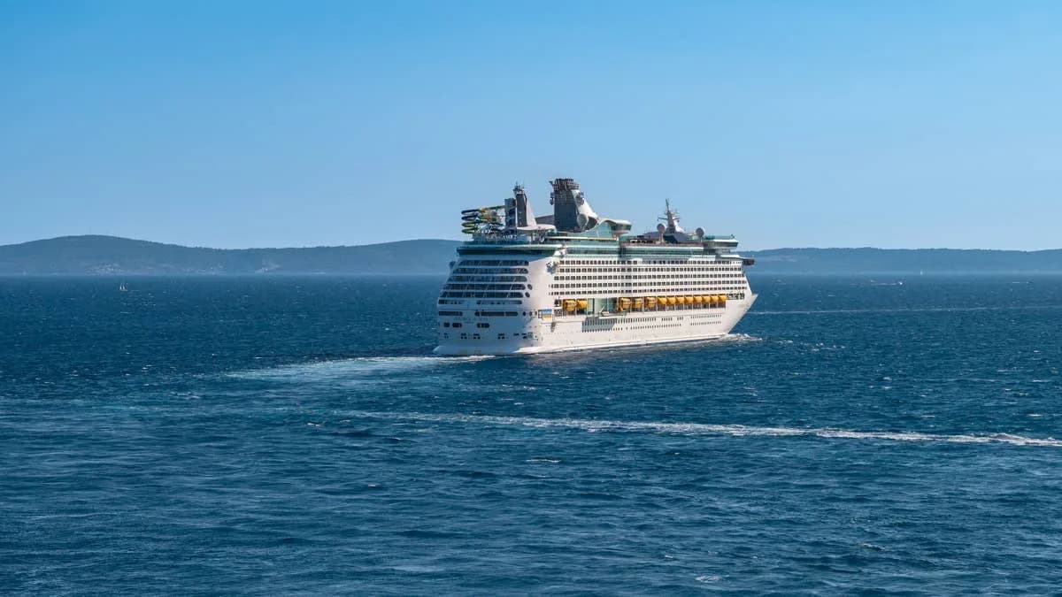 Royal Caribbean Investigated After Pregnant Endangered Fin Whale Found Dead On Ship’s Bow