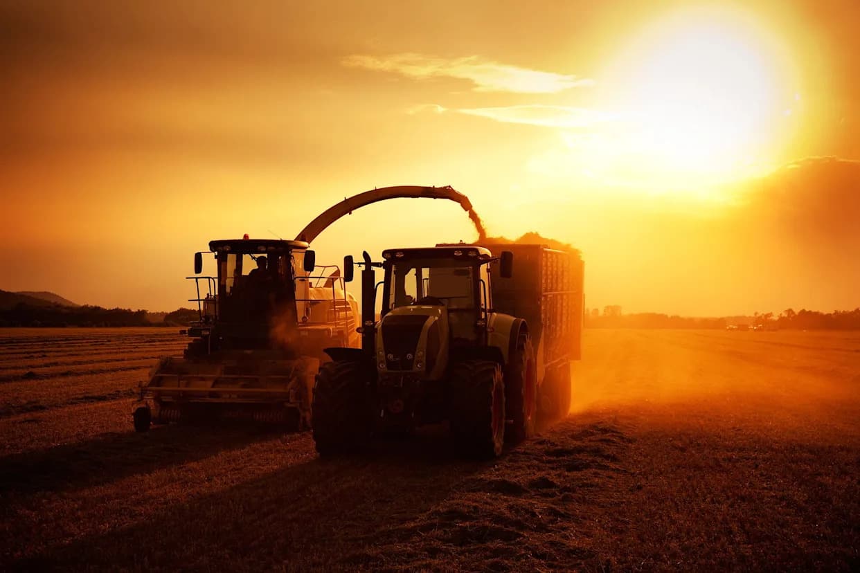 Land Sparing vs. Land Sharing: Why Agriculture Needs Both
