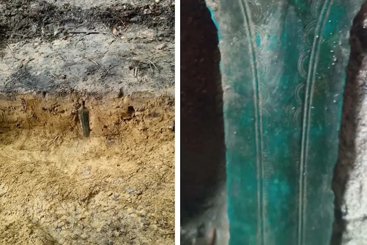2,700‑Year‑Old Bronze Sword Found Standing in Polish Forest — Possible Ritual Offering
