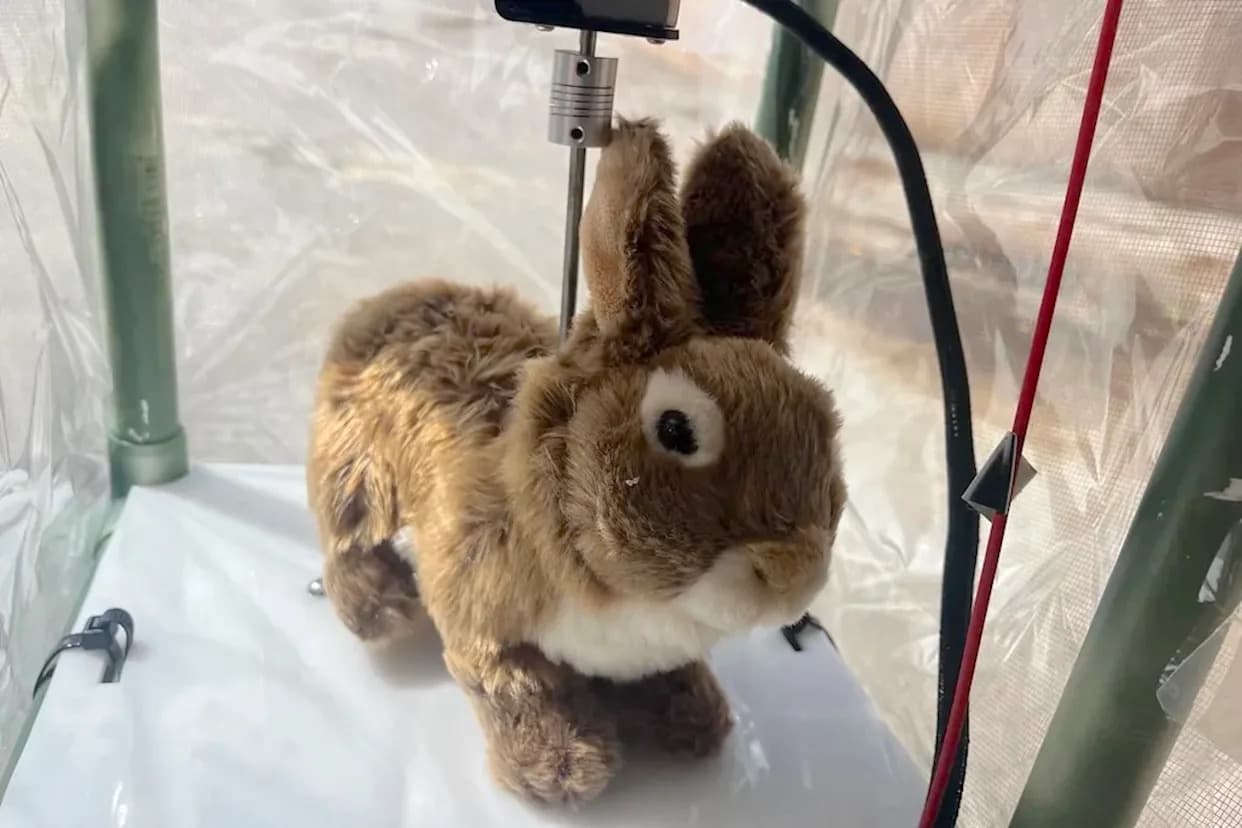 Heated "Robo-Rabbits" Deployed To Lure Invasive Burmese Pythons From The Everglades