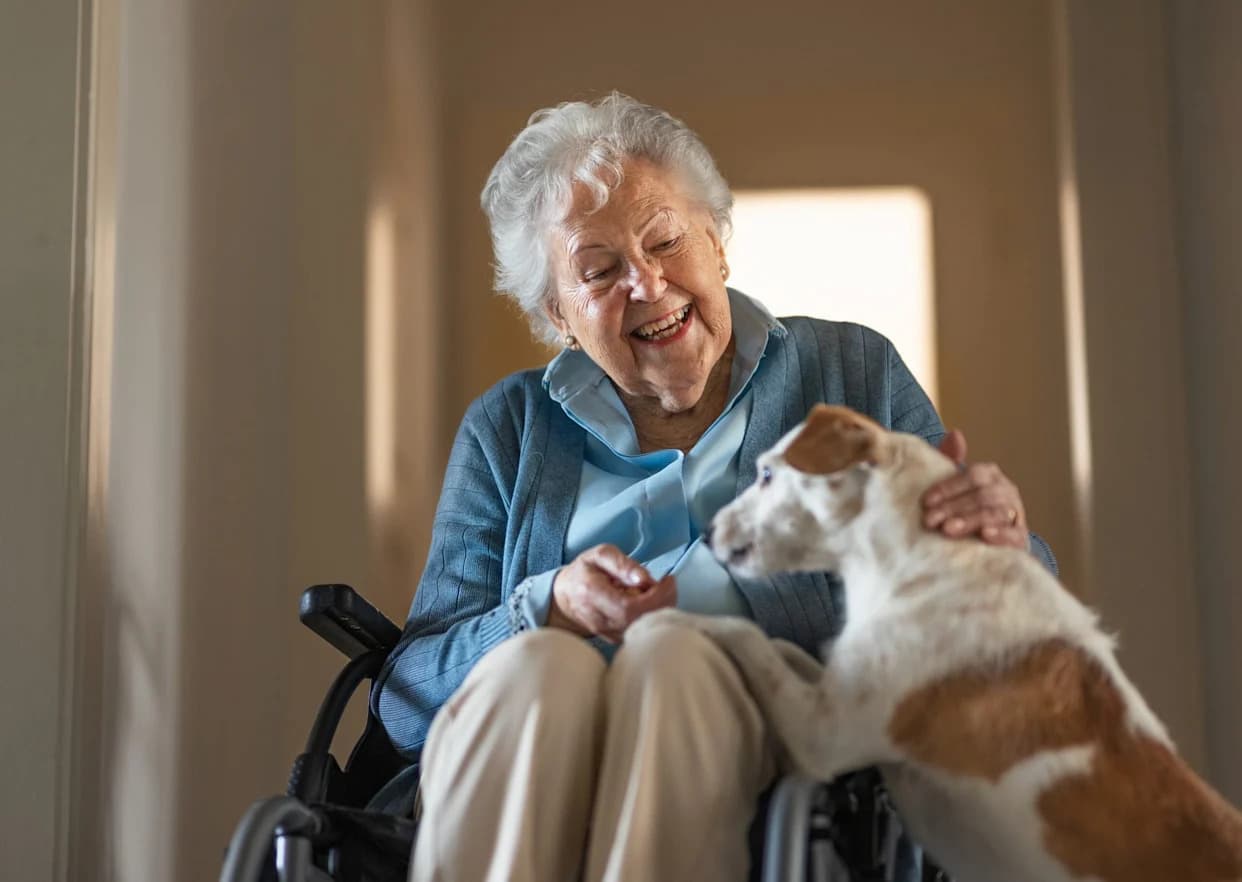 Many Dementia Cases Could Be Prevented — Review Finds Personalized, Community-Based Programs Work Best