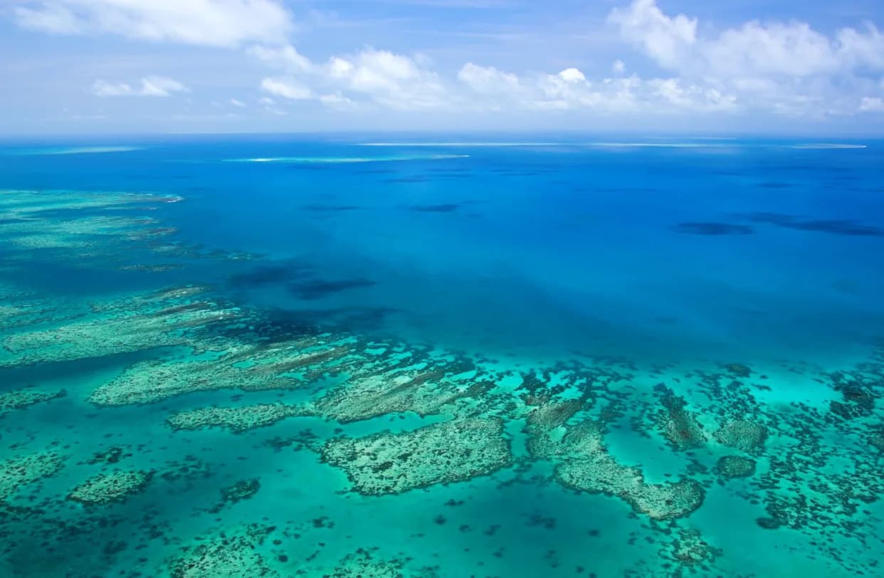 Study Finds Great Barrier Reef Collapsed and Rebuilt Five Times Over the Last 30,000 Years