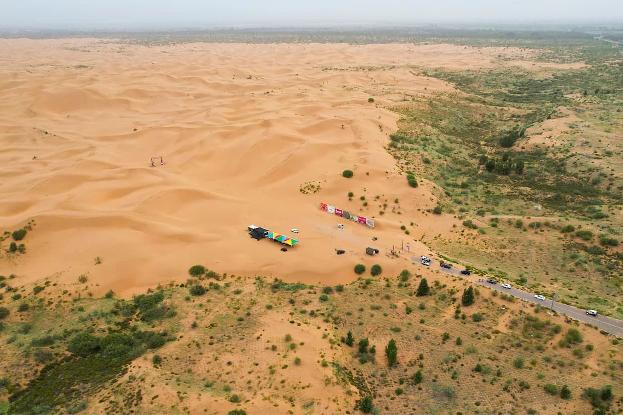 China’s 66 Billion-Tree “Great Green Wall” Is Growing Faster Than Natural Forests — With a Surprise
