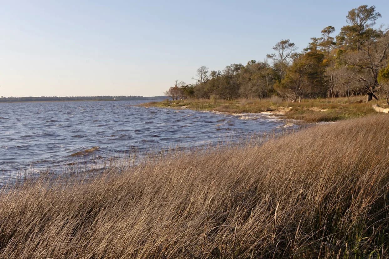 EPA’s $450M Settlement With Chemours Draws Criticism for Leaving Cape Fear Without Direct PFAS Cleanup