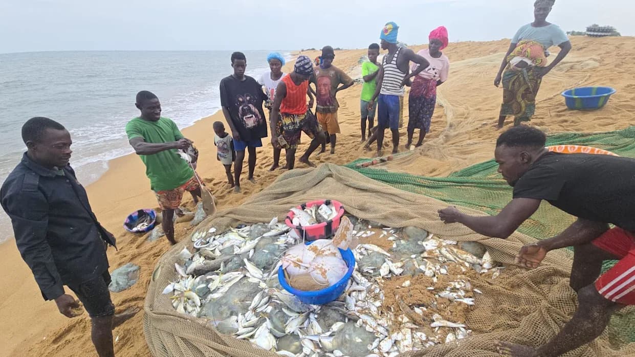Sierra Leone Fishermen Blame Foreign Trawlers — Predominantly Chinese — For Collapsing Catches
