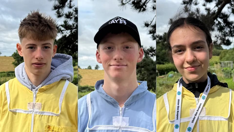 Young Beekeepers Take On 'More Aggressive' Irish Honeybees At International Meeting In Northern Ireland
