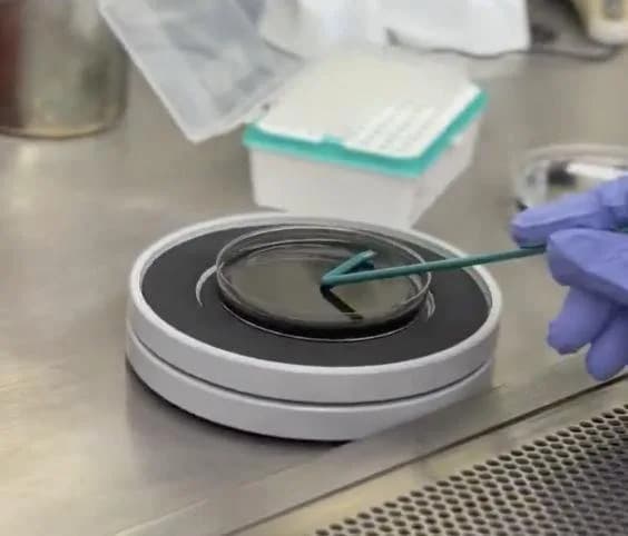 Upper East Side Legionnaires Outbreak Grows to 23 Cases; 17 Hospitalized — Officials Investigate Cooling Towers