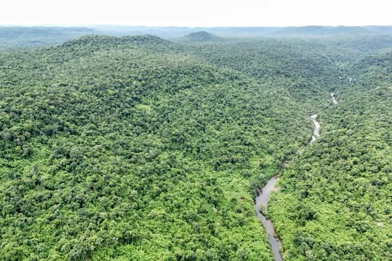 Can Cambodia Successfully Reintroduce Tigers to the Cardamoms?