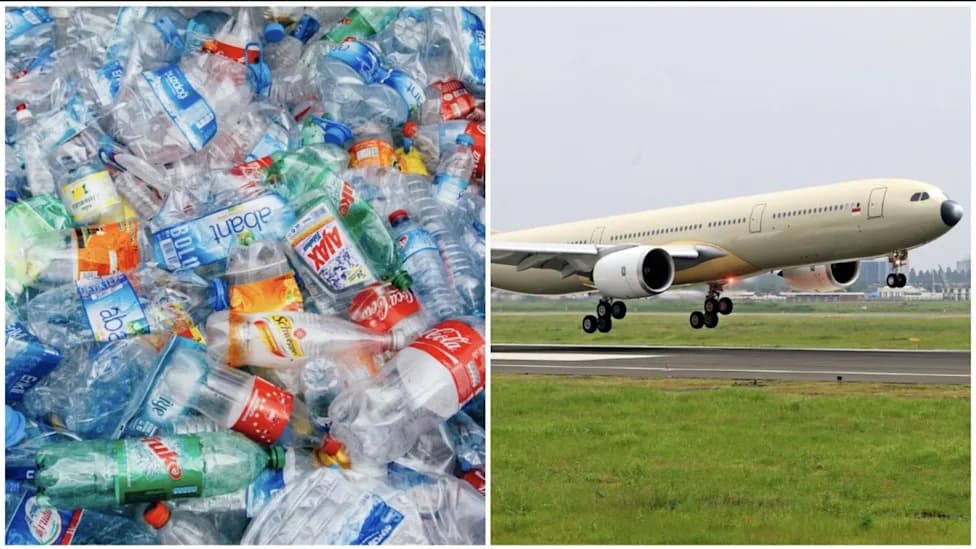 Cambridge Team Uses Sunlight To Turn Plastic And Plant Waste Into Hydrogen