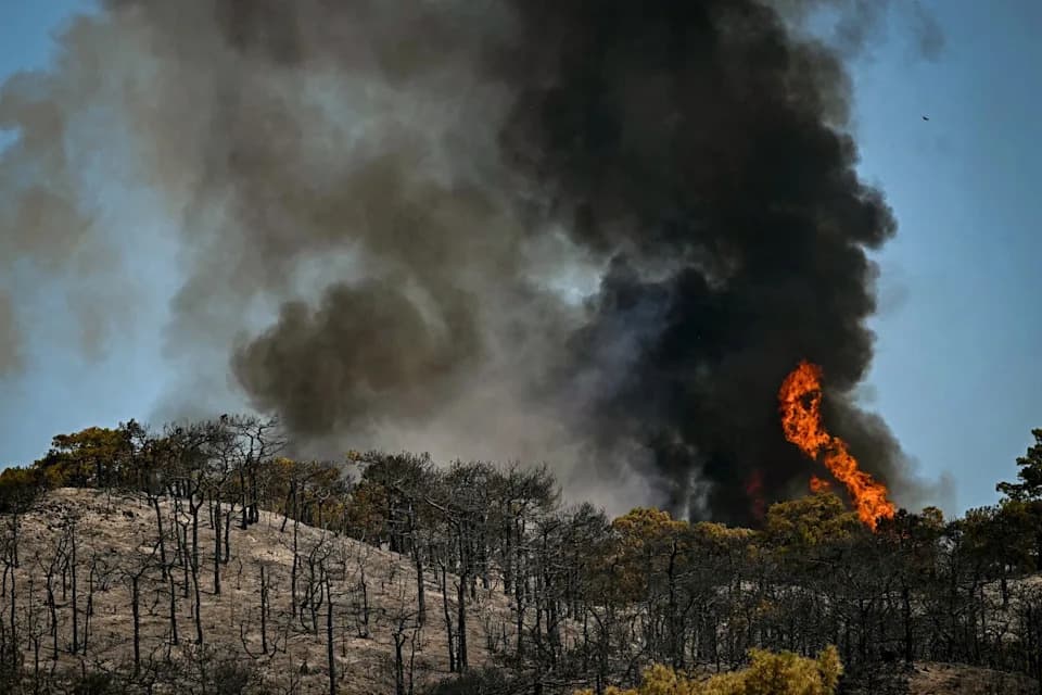 Raging Wildfires in Southern France Force 12,000 Evacuations; Tour de France Bars Spectators
