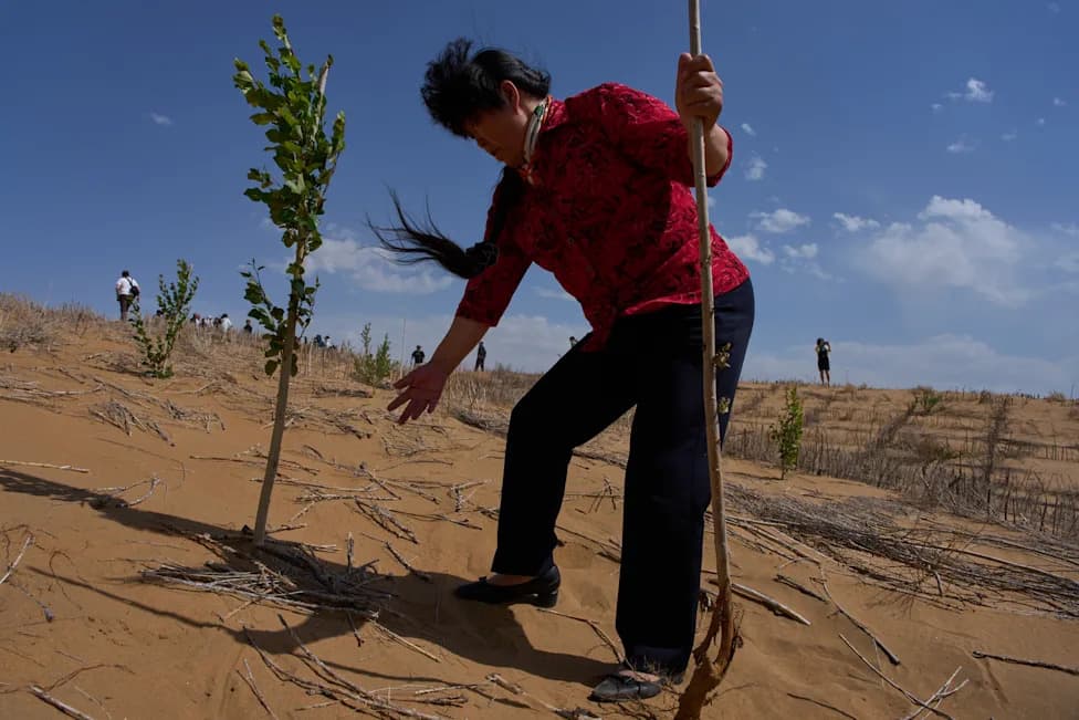 China’s 'Green Great Wall' Slows Desert Spread — But Scientists Warn The Work Isn’t Finished