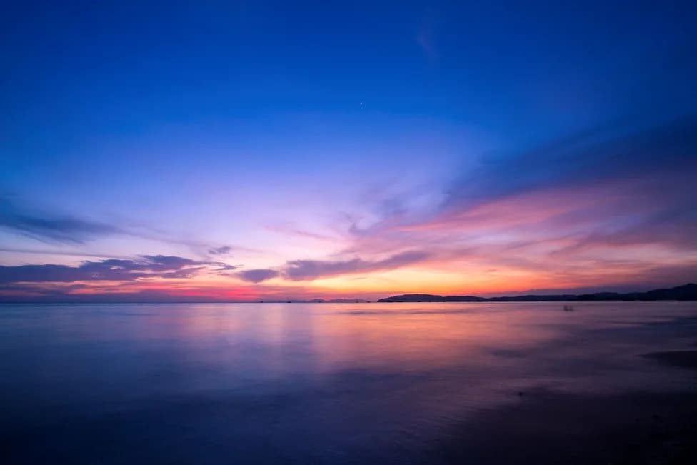 Nightly Migration of Trillions in Ocean Twilight Zone Moves More Carbon Than All Cars
