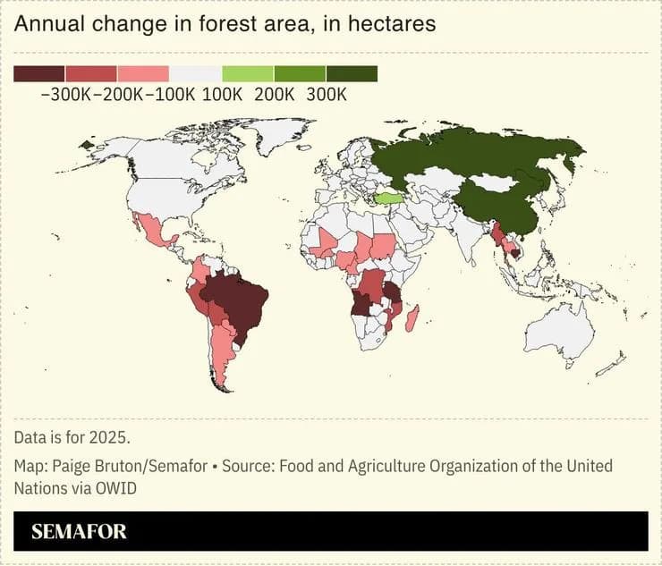 Mining Is Driving Large-Scale Forest Loss Across Africa, Study Finds