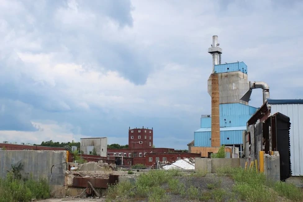 Maine Overlooks Wood-Based Biofuels That Could Replace Much Of Its Heating Oil