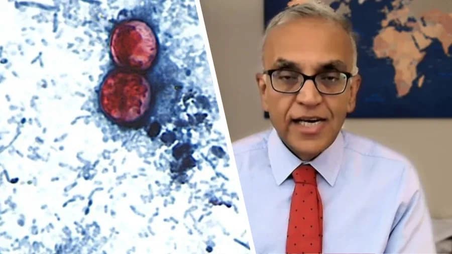 Source Of U.S. Cyclospora Outbreak May Never Be Identified, Expert Warns