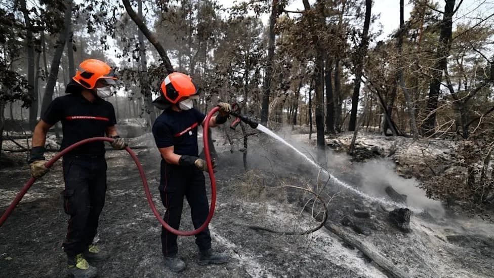 Volunteer Firefighter Investigated Over Massive Fontainebleau Forest Blaze Near Paris