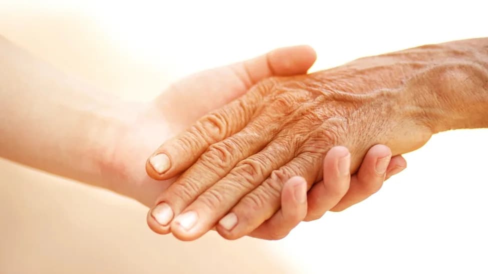 Study Argues Lifespan Is Shaped Before Birth — Researchers Propose PROSPER Consortium