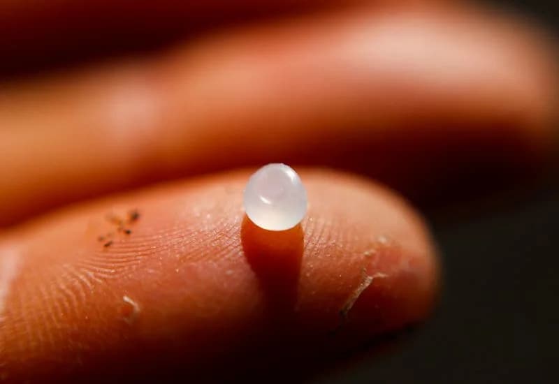 Microplastics Found More Often in Heart Attack Survivors; KRAS Vaccine Shows Early Promise Against Pancreatic Cancer