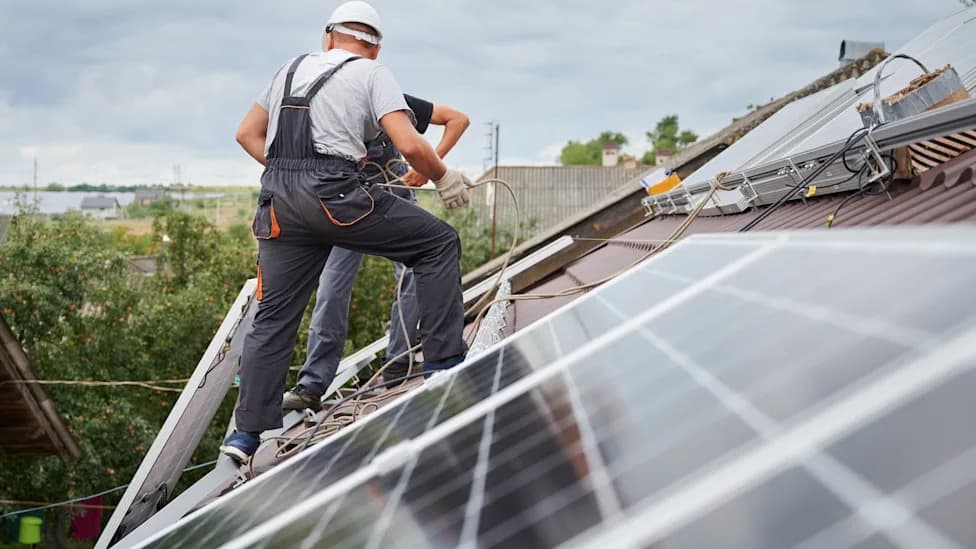 SolarZero Fallout: 15,000 New Zealand Households Hit With Higher Bills And Hefty Exit Fees