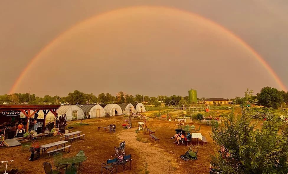 Forever Chemicals End Vegetable Harvests at Historic Venetucci Farm — Flowers Provide a Fragile Comeback