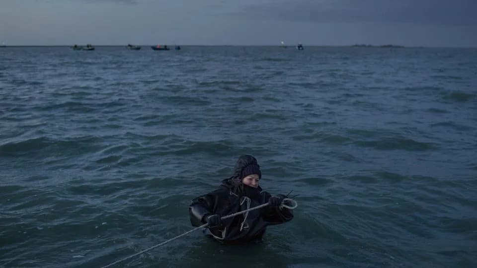 Blue Crab Invasion Collapses Italy’s Clam Industry — Fishers Pivot or Leave the Water